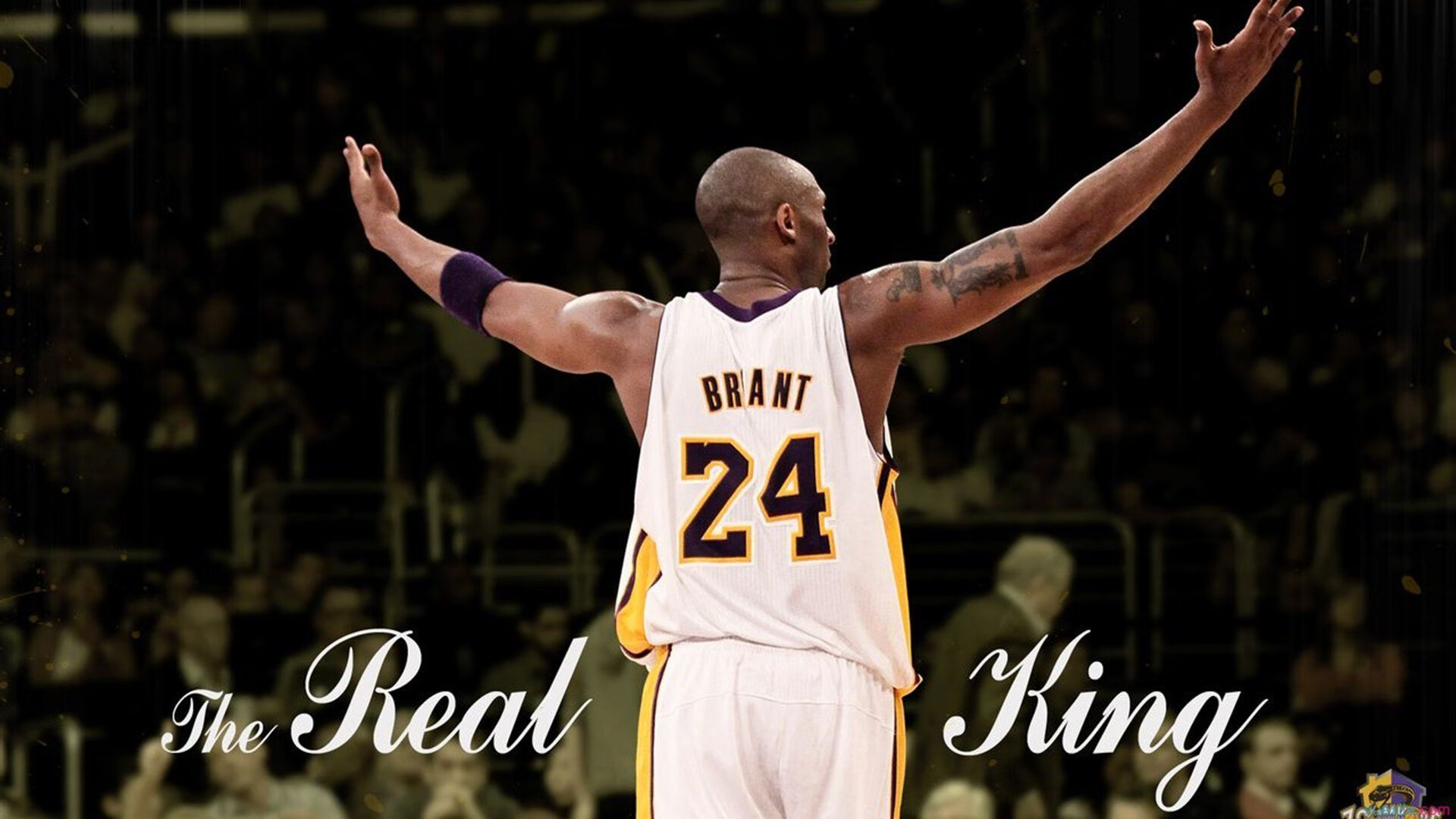 《守望先锋》新模式推出：创新玩法与用户反馈，守望先锋最新更新改动